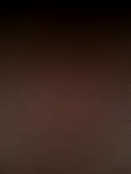 Rousse uwu online show from February 2026 03:55:02 AM