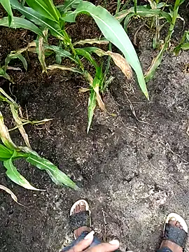 Snapshot of loki-king-143 chatting on February 2026 03:59:01 AM loki-king-143 online show from February 2026 03:59:01 AM