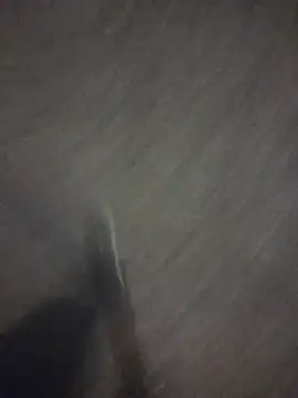 marcoboss online show from April 2026 09:50:02 PM