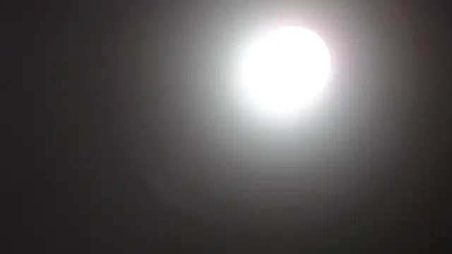 Catherine Walker online show from December 2025 10:20:01 AM