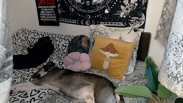 Snapshot of AlienforTwenty chatting on February 2026 08:57:01 AM AlienforTwenty online show from February 2026 08:57:01 AM