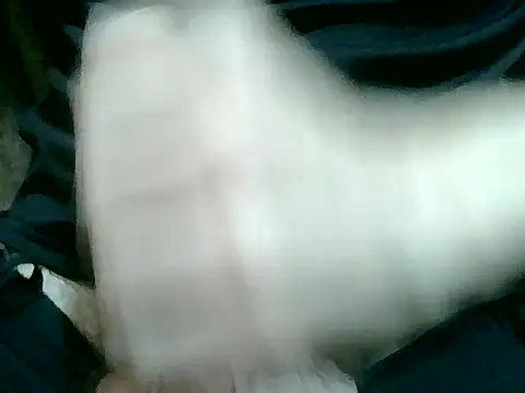Snapshot of Thickpaper chatting on December 2025 09:25:01 AM Thickpaper online show from December 2025 09:25:01 AM