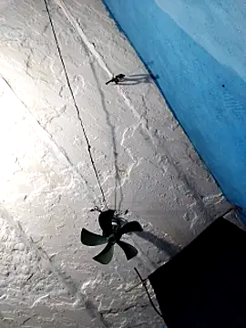 Akanksha soni online show from March 2026 08:26:02 PM