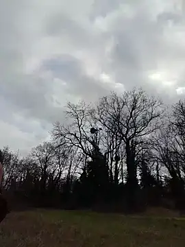 Snapshot of Sacha_Scorp chatting on February 2026 02:21:02 PM Sacha Scorp online show from February 2026 02:21:02 PM