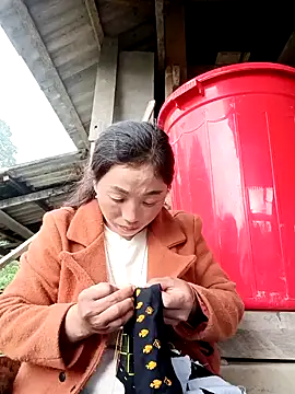 seacyre online show from December 2025 01:36:01 AM