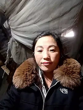 seacyre online show from January 2026 12:37:01 AM