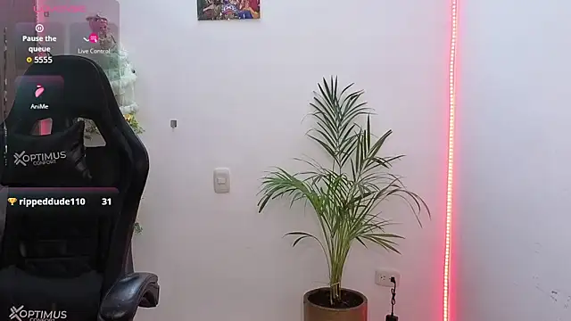 vieernes online show from February 2026 01:42:01 AM