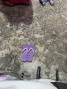 bi biii online show from February 2026 02:03:02 PM