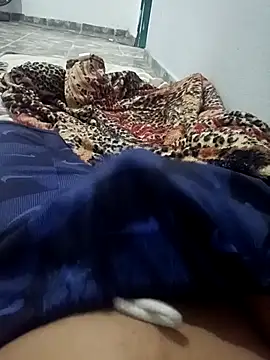 WPS15 online show from January 2026 01:38:01 PM