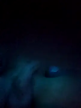 norvisito online show from December 2025 06:20:02 AM