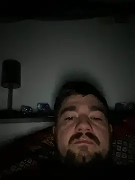 LienalWarplane online show from February 2026 01:05:01 PM