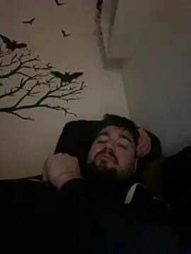 LienalWarplane online show from February 2026 01:59:02 AM