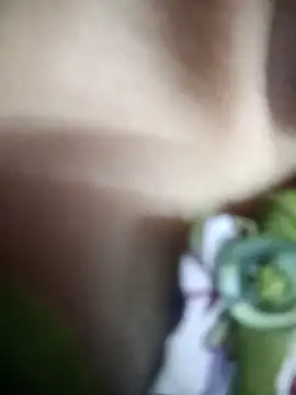 Eva 890 online show from March 2026 03:17:01 AM