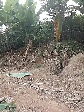 Menlike69 online show from January 2026 02:27:02 AM