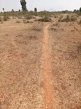 Tamilpaiyan07 online show from February 2026 07:01:01 AM