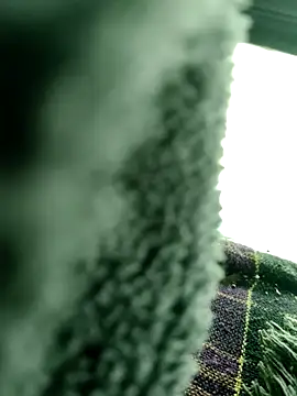 Hot2602 online show from April 2026 05:55:02 AM