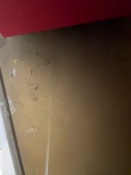 lele202526 online show from April 2026 07:00:01 PM