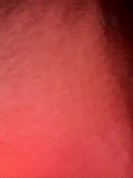 congchua977 online show from February 2026 11:26:02 AM