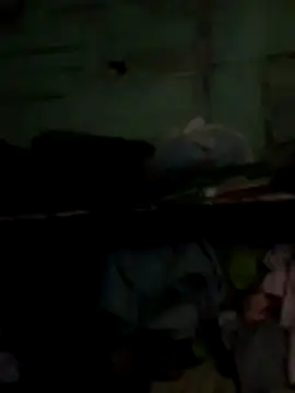 Snapshot of Antras92 chatting on January 2026 03:17:02 PM Antras92 online show from January 2026 03:17:02 PM