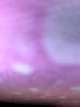 m9awadan online show from January 2026 09:18:01 PM