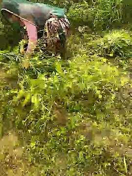 Snapshot of hornycouple20000 chatting on January 2026 05:43:02 AM hornycouple20000 online show from January 2026 05:43:02 AM