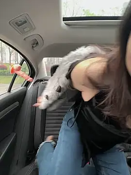 Snapshot of mo-mo-69 chatting on April 2026 02:09:01 AM mo-mo-69 online show from April 2026 02:09:01 AM