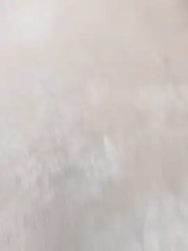 daksh  8 inche online show from April 2026 01:50:02 AM