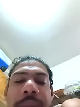 ElegantDic online show from March 2026 01:17:02 PM