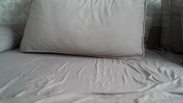 Snapshot of apollo81 chatting on February 2026 09:49:01 AM apollo81 online show from February 2026 09:49:01 AM