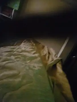 Xavlex0803 online show from April 2026 12:41:02 PM