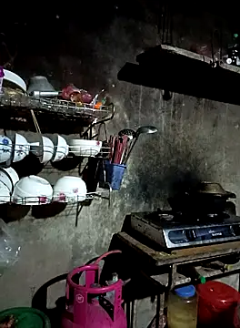 vanvan005 online show from March 2026 11:36:01 AM