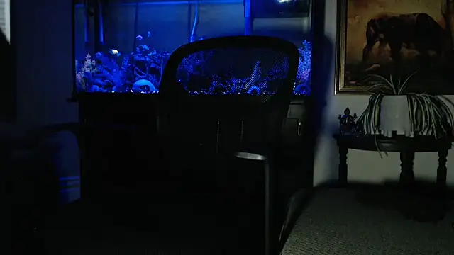 EspanolVato online show from February 2026 09:13:01 AM