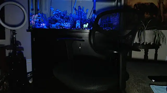 EspanolVato online show from February 2026 10:55:02 AM