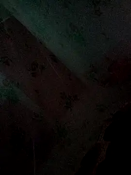 Snapshot of Monisha9876 chatting on January 2026 04:34:01 PM Monisha9876 online show from January 2026 04:34:01 PM