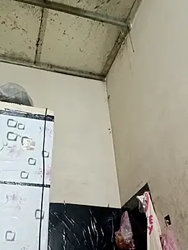 Sana-vn online show from February 2026 05:24:01 PM