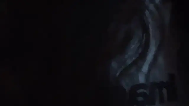 sunny-ly online show from April 2026 01:41:02 PM