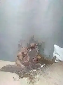 ferreirasantos123 online show from January 2026 12:02:01 AM