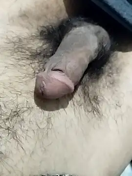 hananarab online show from March 2026 04:29:01 AM