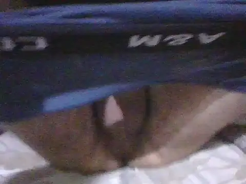 kemo2087 online show from April 2026 10:18:01 PM