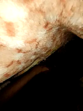 rohit16770 online show from January 2026 07:06:02 PM