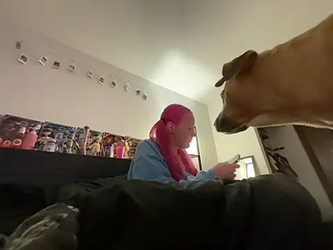 prettygirltracy 12 online show from February 2026 08:11:02 AM