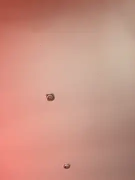 LunaSeduct online show from January 2026 04:33:02 PM