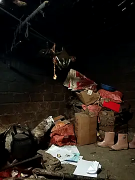 yu--yo online show from February 2026 02:04:02 AM