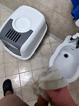 Snapshot of Manu53y chatting on February 2026 04:54:01 PM Manu53y online show from February 2026 04:54:01 PM