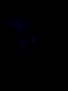 Snapshot of Sonja200 chatting on January 2026 12:13:01 AM Sonja200 online show from January 2026 12:13:01 AM