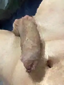 Snapshot of misteryboi chatting on February 2026 12:20:02 AM misteryboi online show from February 2026 12:20:02 AM