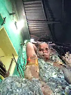 Reena lodha online show from April 2026 01:04:02 PM