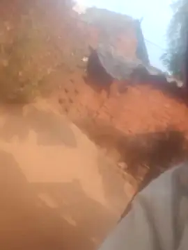 Kirti rajak online show from January 2026 10:19:02 AM