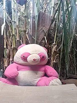 leona118 online show from February 2026 01:32:02 AM