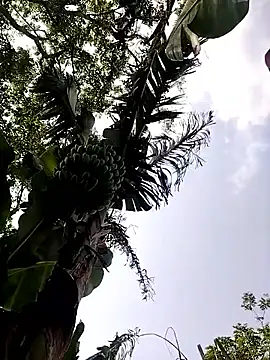 leona118 online show from April 2026 07:45:01 AM